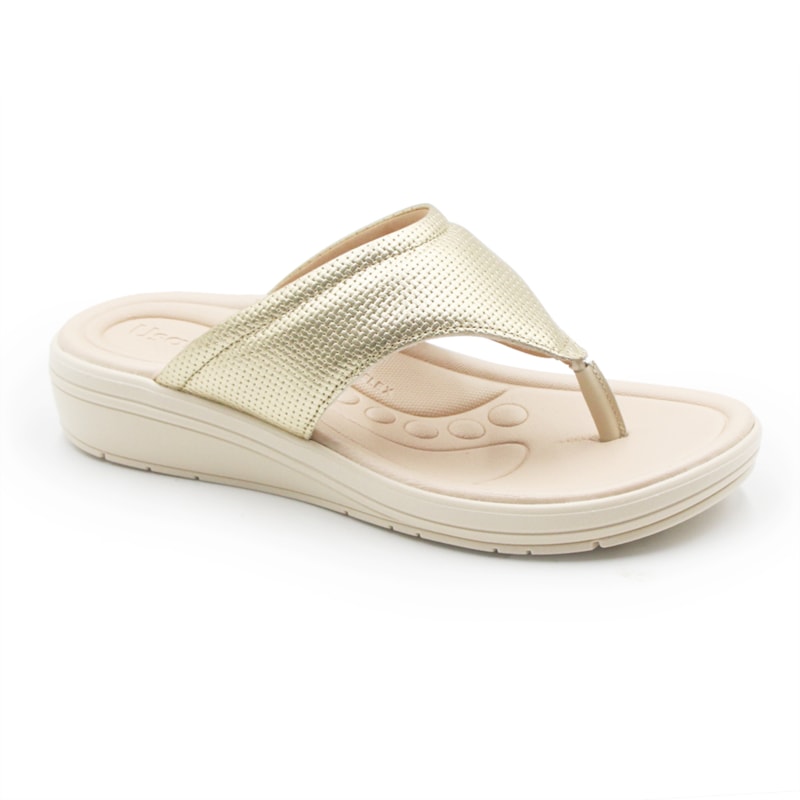 Chinelo Usaflex Feminino Prata Velha 270350 Anita Shoes
