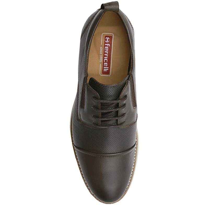 Sapato Ferricelli Stinguer Masculino Brown - 243435
